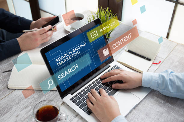 seo expert